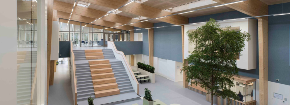 Hout in schoolgebouwen: een gezondere leeromgeving als basis voor betere prestaties - Woodteq