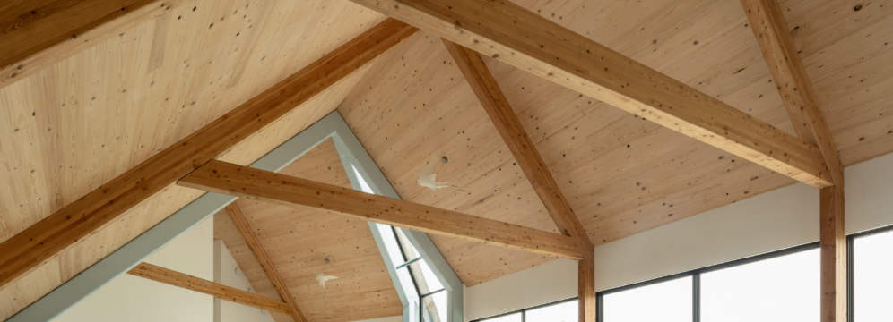 Houtbouw en CO₂-opslag: hoe zit dat in de huidige rekenmethodes? - Woodteq